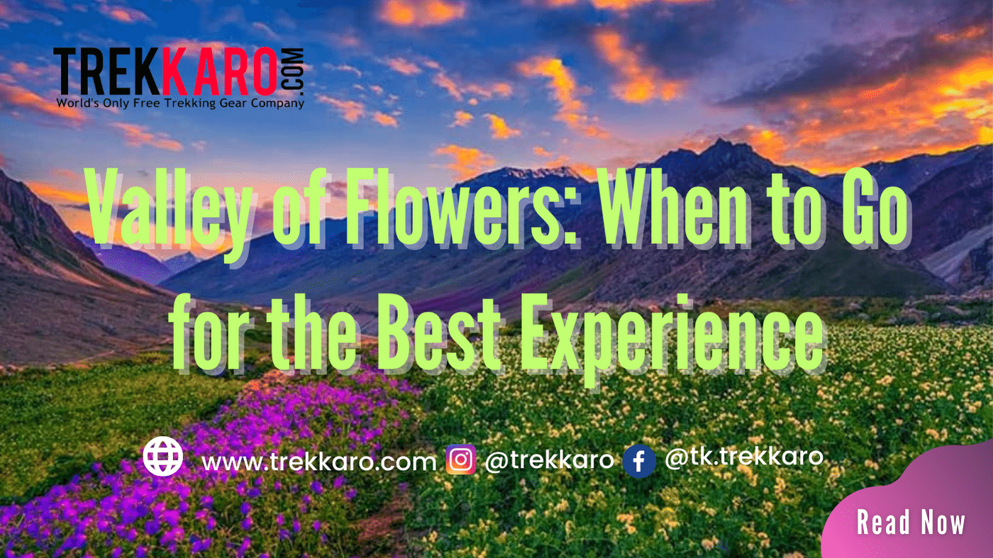 Valley of Flowers: When to Go for the Best Experience